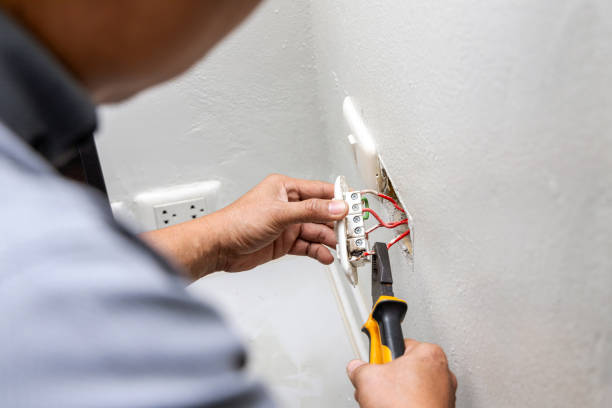Best Electrical Repair Services  in Forest City, IA