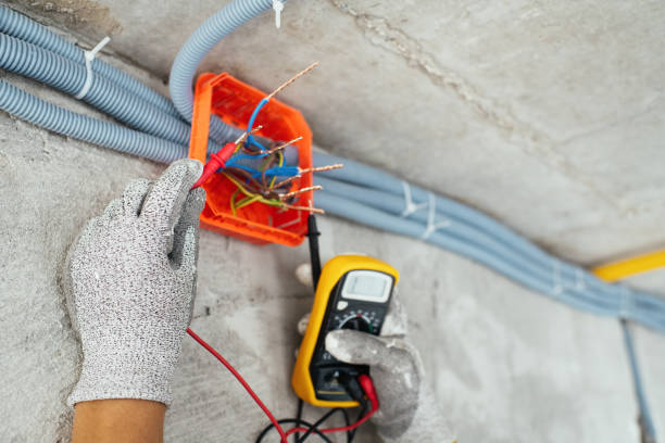 Best Residential Electrician Services  in Forest City, IA
